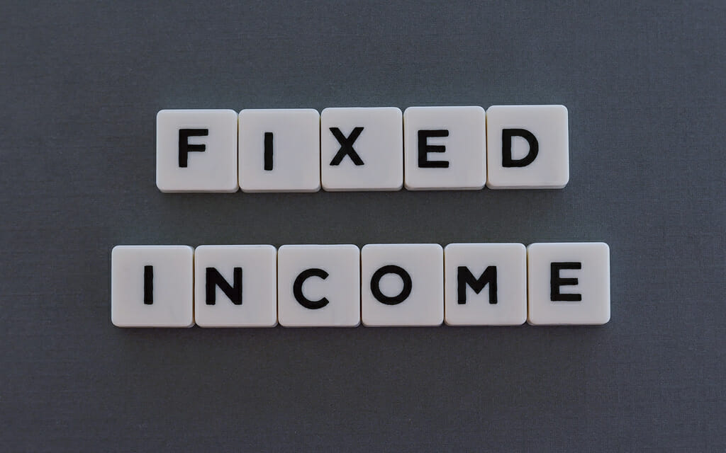 What is included in your fixed income allocation?